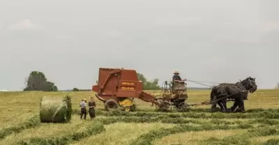 tecnologias en agricultura