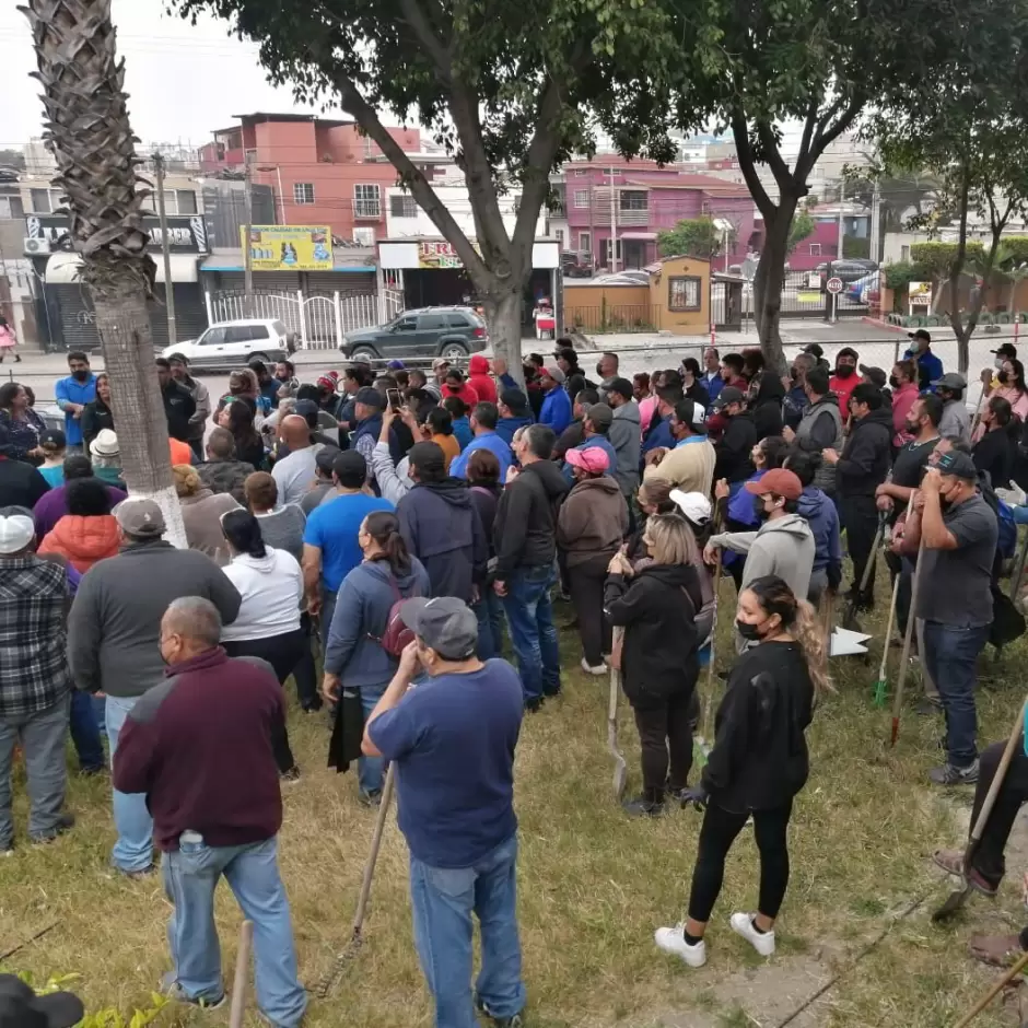 Jornada de reforestaci�n