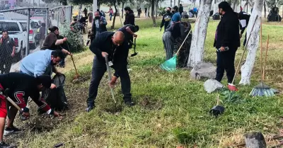 Jornada de reforestaci�n