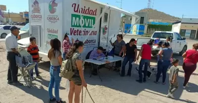 Campaña de esterilización en Nogales