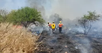 Incendios forestales en Sonora