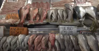 Hace llamado Secretara de Salud a consumir pescado para evitar problemas cardio