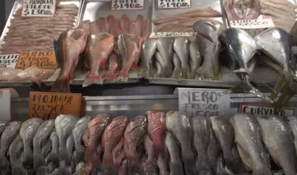 Hace llamado Secretaría de Salud a consumir pescado para evitar problemas cardio