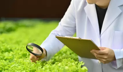 Biotecnología agrícola