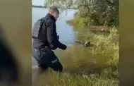 Autoridades de Ucrania ayudan a perro de inundaciones por destrucción de presa