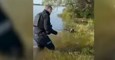 Policía ayuda a perro