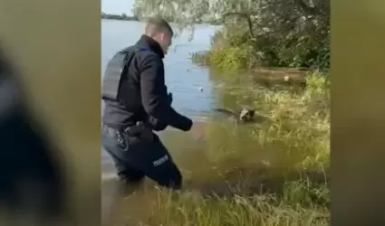 Policía ayuda a perro