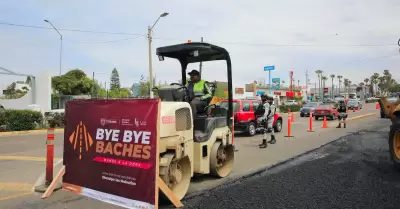 Bye Bye Baches