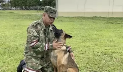 Wilson, un can de las Fuerzas Militares