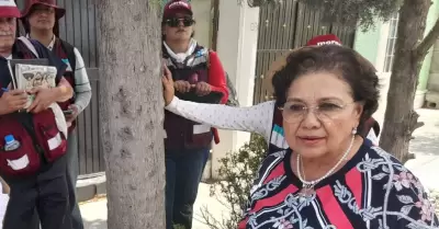Sonia Rinc�n Chanona, dirigente nacional de Nueva Alianza