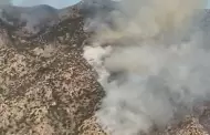 Drones realizan vuelos sobre incendio forestal en muris