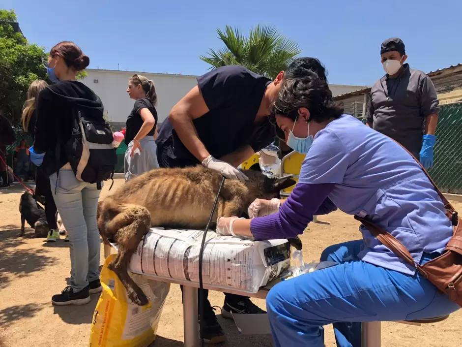 Clausura albergue "Ellos son la Razn"