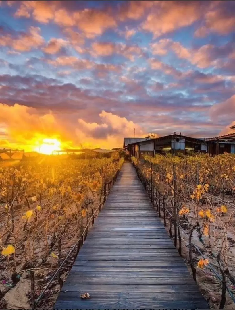 Concurso fotogrfico de Emprendedores del Valle de Guadalupe