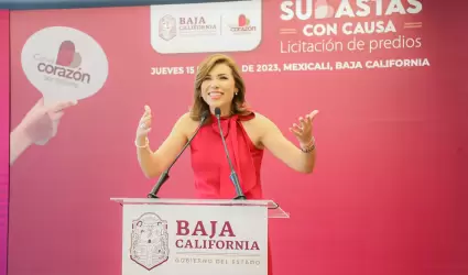 Subasta con Causa. Licitaci�n de Predios