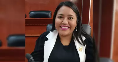 Diputada Evelyn S�nchez S�nchez