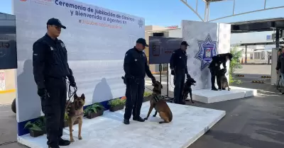 Bienvenida a nuevos agentes caninos en la Polica Municipal de Hermosillo