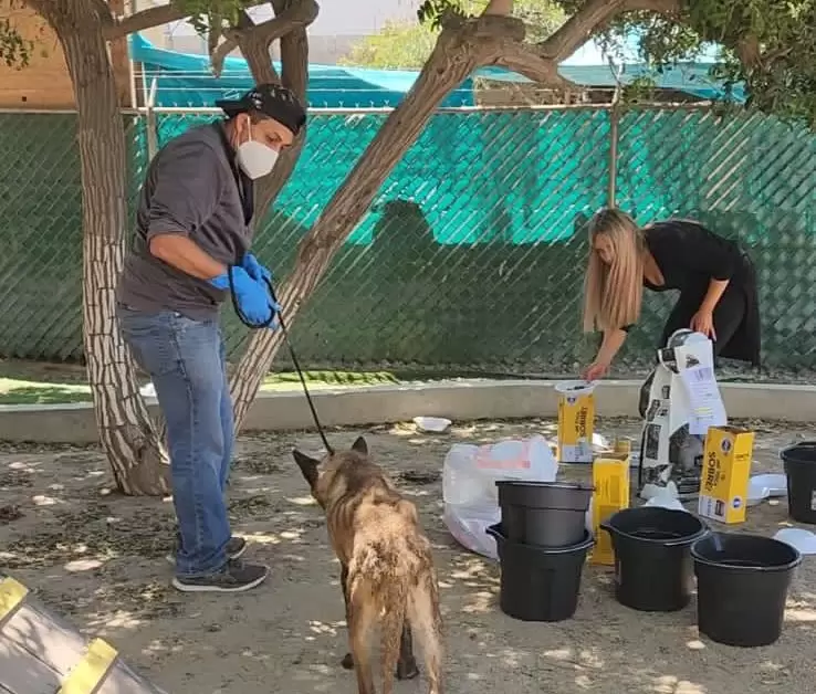 Valoraci�n de perros y gatos de albergue clausurado