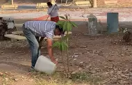 Ciudadan�a Activa celebra 200 jornadas de limpieza ininterrumpidas en La Sauceda