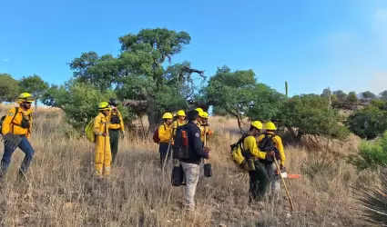 Brigadistas combaten incendio forestl en muris