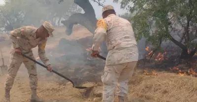 Combaten incendio en sierra La P�rica, en Nacozari