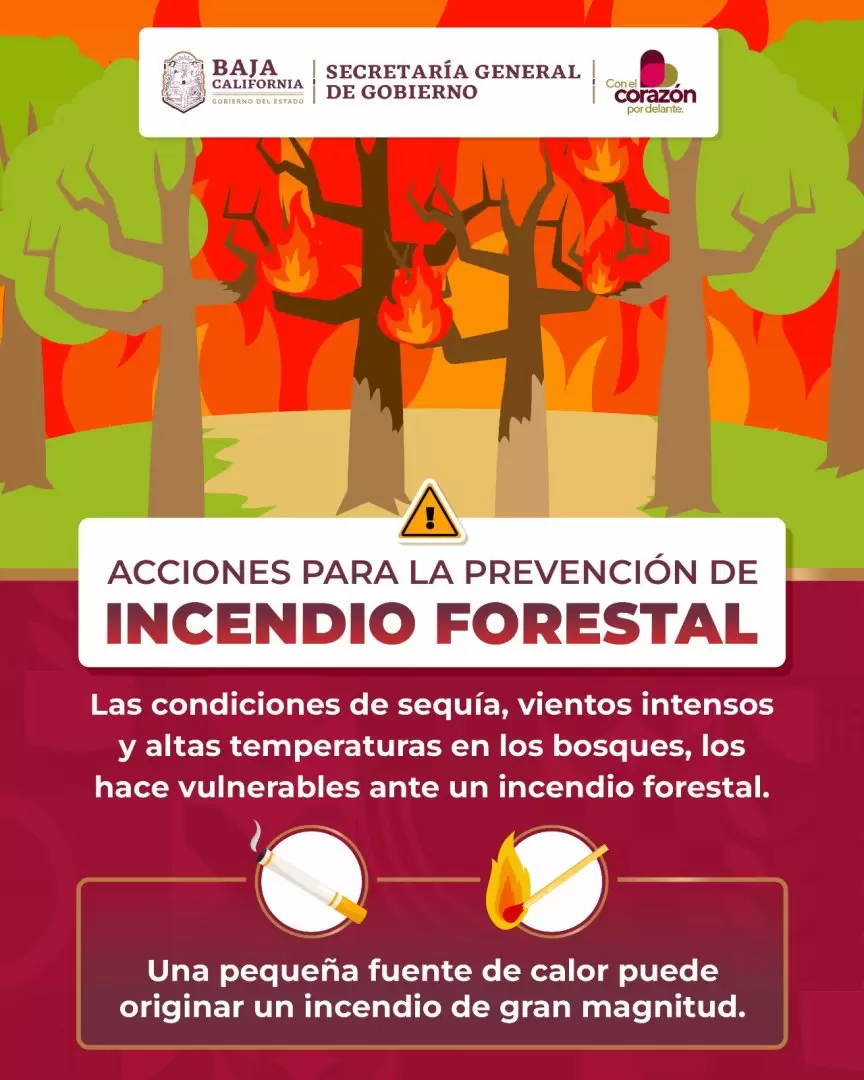 Incendios forestales