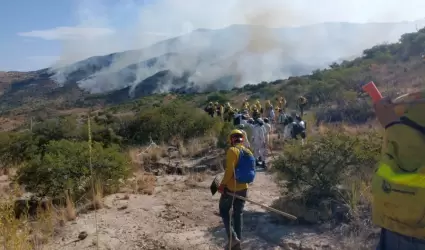 Brigadistas combaten incendios en muris y Bacoachi