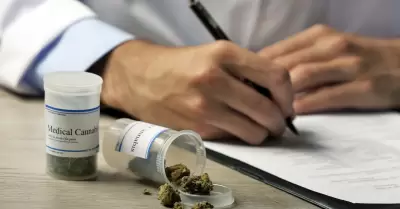 Uso del cannabis medicinal sigue sin legalizarse en M�xico