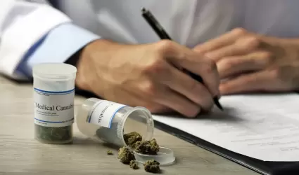 Uso del cannabis medicinal sigue sin legalizarse en Mxico