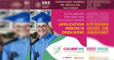 Becas Colibr MX 2023