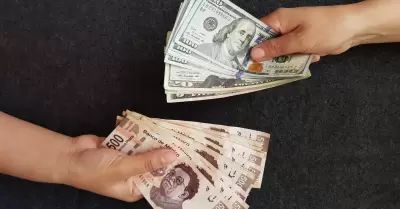 Pesos y dolares