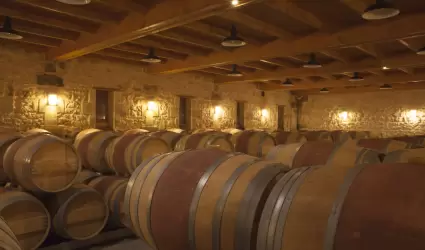 Industria vitivincola
