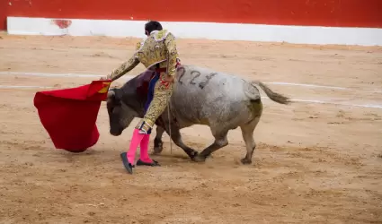 Torero haciendo corrida de toros con traje de torero