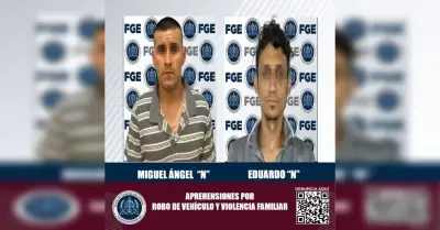 Robo de veh�culo y violencia familiar