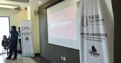 Consejo Estatal de Protecci�n al Ambiente