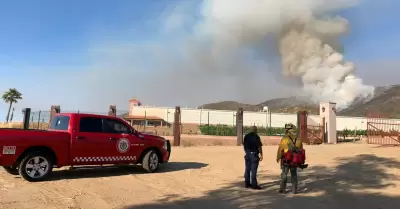 Incendios forestales