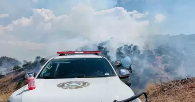 Controlan al cien por ciento incendio forestal en Nogales