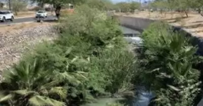 canal