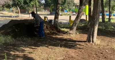 Rehabilitacin de nueva rea verde en Parque Morelos