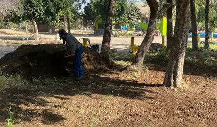 Rehabilitacin de nueva rea verde en Parque Morelos
