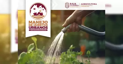 Curso-taller "Combate y Prevenci�n de Incendios"