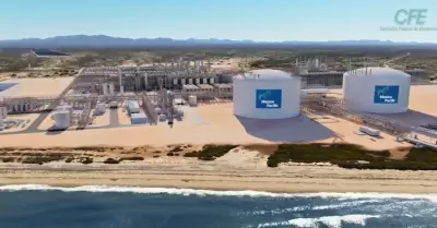 Proyecto de planta de licuefacci�n de gas en Puerto Libertad
