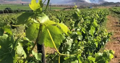 Prevenci�n y control de incendios forestales en la "Ruta del Vino"