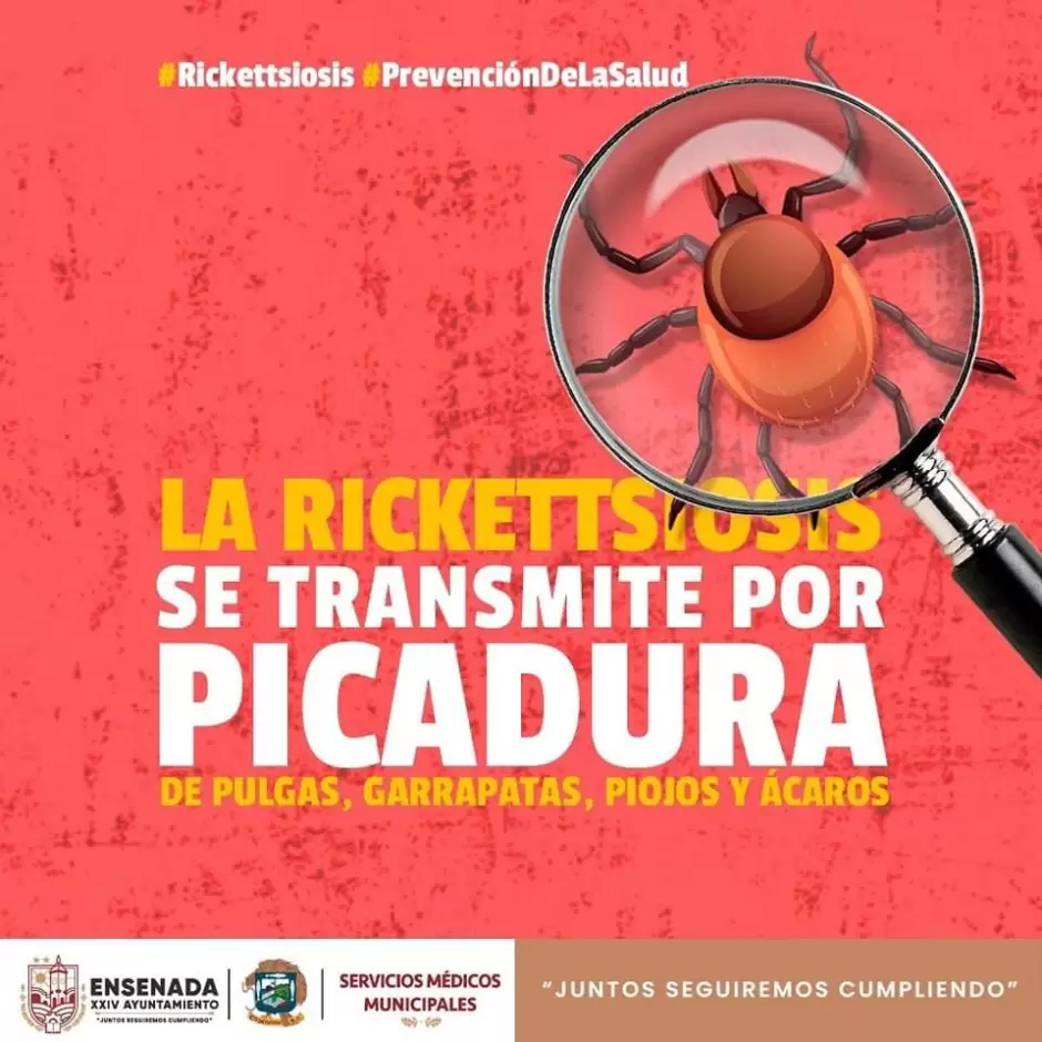 Medidas preventivas contra la rickettsiosis