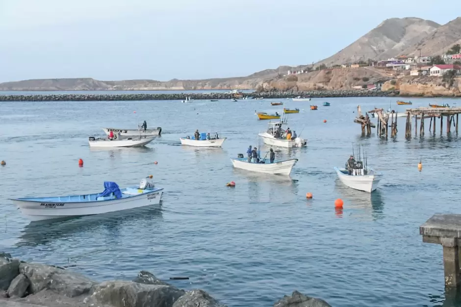 Torneo de Pesca Deportiva del Jurel en Isla de Cedros