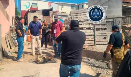 Rescate de animales
