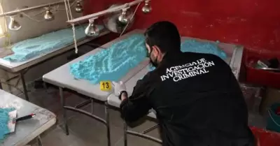 Carpetas de investigaci�n relacionadas con fentanilo en 2023