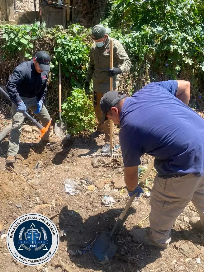 Brigada de b�squeda