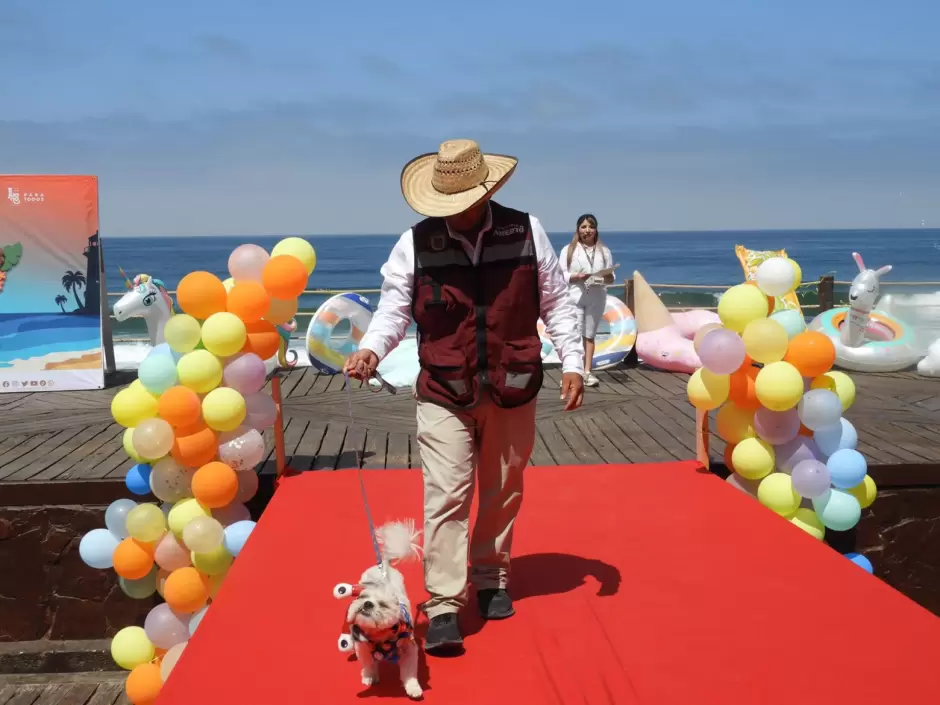 "Pasarela Guau" en Playas de Tijuana