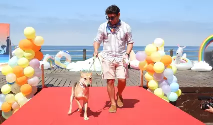 "Pasarela Guau" en Playas de Tijuana