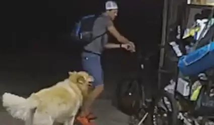 Perro ladr�n